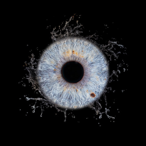photo iris bleu enfant
