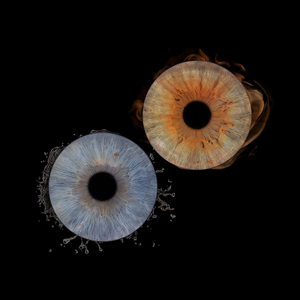 photo artistique d'iris en couple